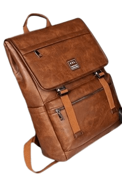 Celmart Stores-Notebook_Backpack_brown-