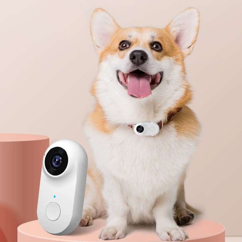 Pet Camera A100+ Camera - Image 2