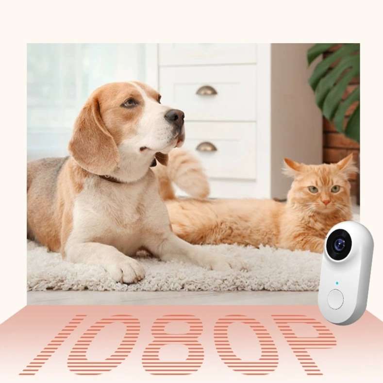 Pet Camera A100+ Camera - Image 4